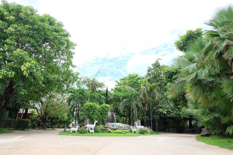 Big Tree Resort - Genel