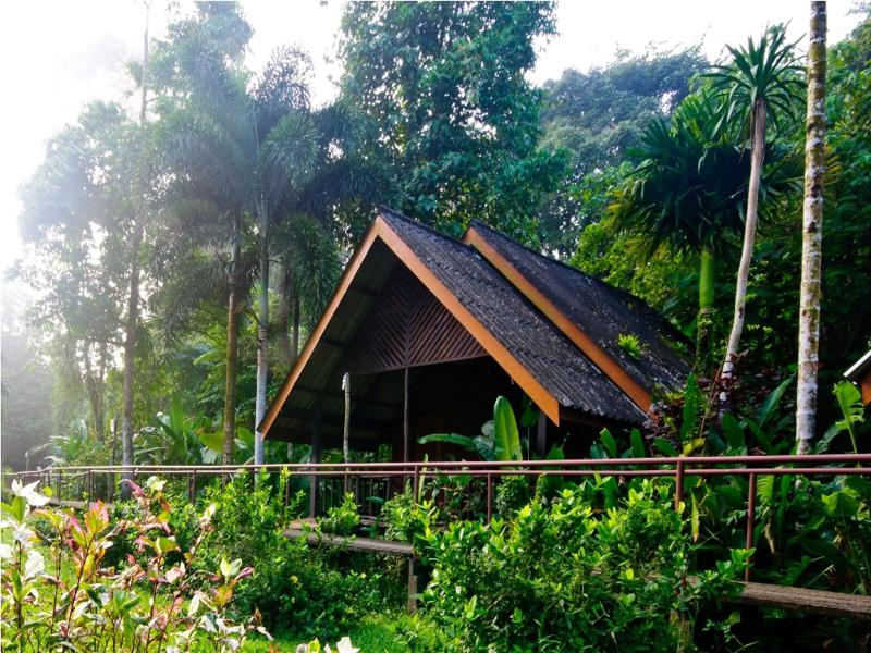 Khao Sok Riverside Cottage - Genel