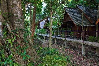 Khao Sok Riverside Cottage fotoÄŸrafÄ±