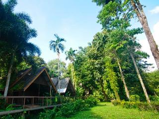 Khao Sok Riverside Cottage fotoÄŸrafÄ±