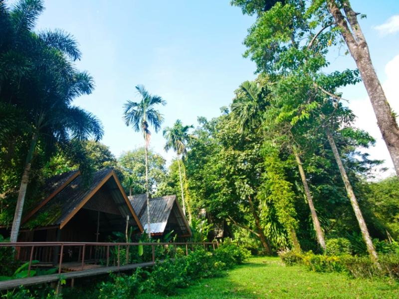 Khao Sok Riverside Cottage - Oda