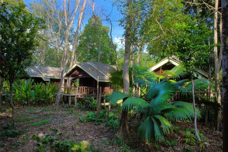 Khao Sok Riverside Cottage - Oda