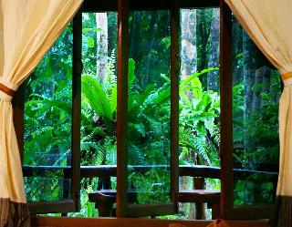 Khao Sok Riverside Cottage fotoÄŸrafÄ±