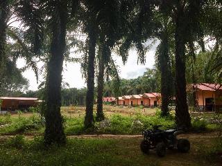 Khao Sok Evergreen House otel fotoğrafı