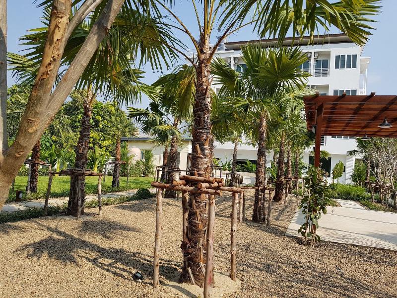 Chez Bure - Bure Homestay - Teras