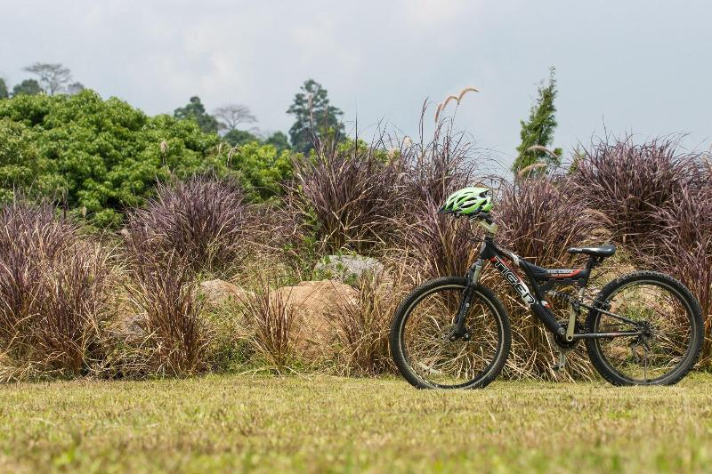 The Natural Garden - Khao Soi Dao - - Aktivite
