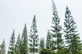 The Natural Garden - Khao Soi Dao - fotoÄŸrafÄ±