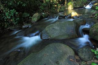 The Natural Garden - Khao Soi Dao - fotoÄŸrafÄ±