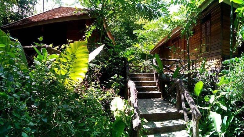 Art's Riverview Lodge - Genel