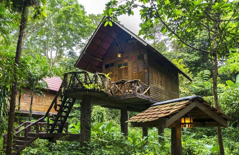 Art's Riverview Lodge - Genel