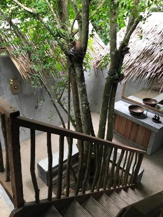 Thap Pala Cottage fotoÄŸrafÄ±