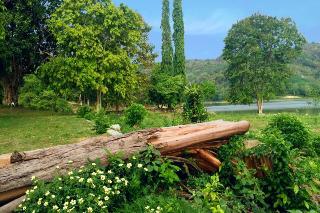 Thap Pala Cottage fotoÄŸrafÄ±