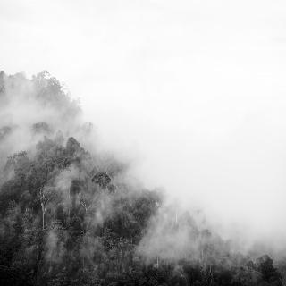 Sirinati Khao Kho National Park - Adult Only fotoÄŸrafÄ±