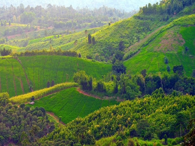 Sirinati Khao Kho National Park - Adult Only - Genel