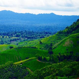 Sirinati Khao Kho National Park - Adult Only fotoÄŸrafÄ±