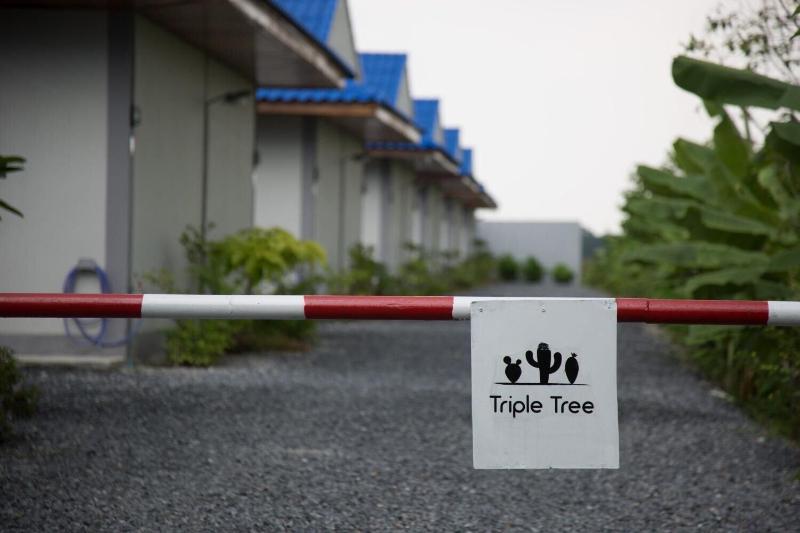 Triple Tree Resort - Genel