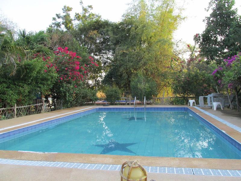 Moutain View Guest House - Aktivite