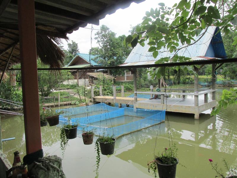 Moutain View Guest House - Aktivite