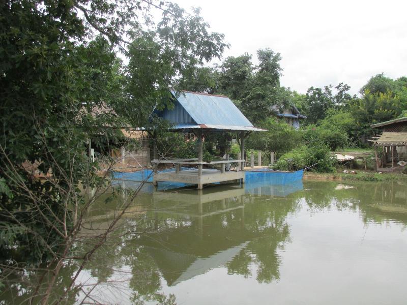 Moutain View Guest House - Aktivite