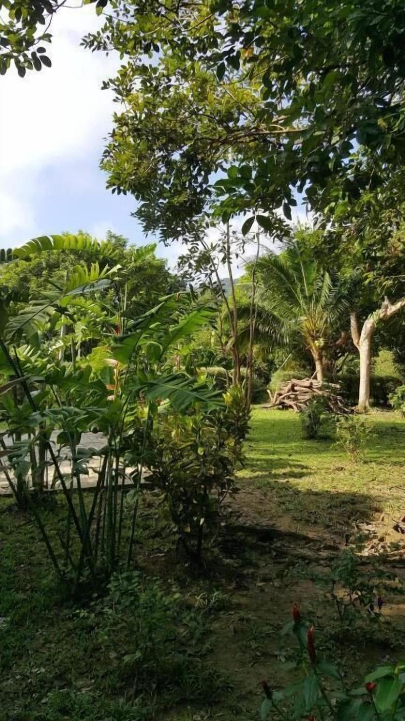The Royal Bamboo Lodge - Genel
