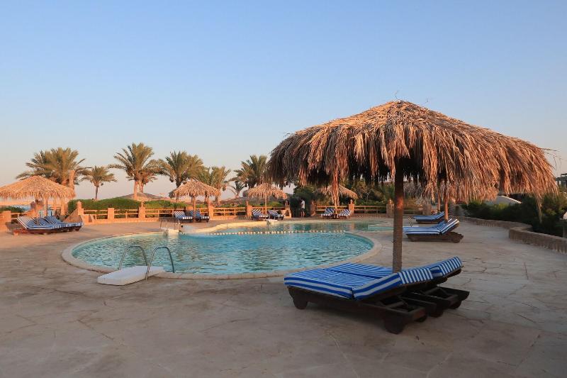 Sharm El Naga Resort And Diving Center - Aktivite