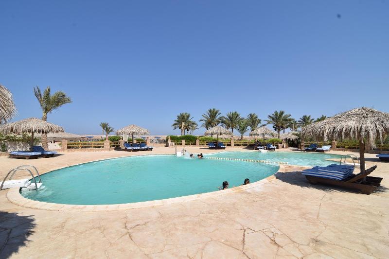Sharm El Naga Resort And Diving Center - Aktivite