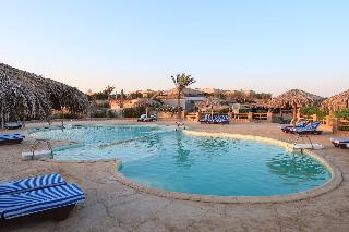 Sharm El Naga Resort And Diving Center fotoÄŸrafÄ±