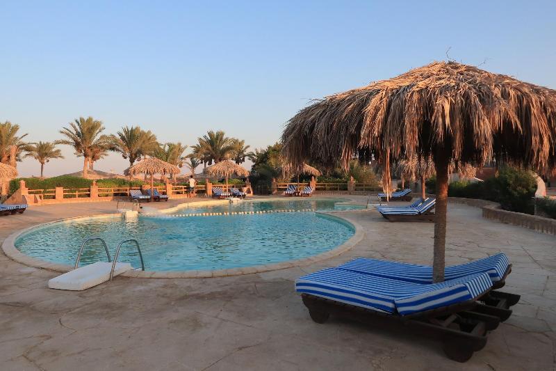 Sharm El Naga Resort And Diving Center - Aktivite
