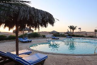 Sharm El Naga Resort And Diving Center fotoÄŸrafÄ±