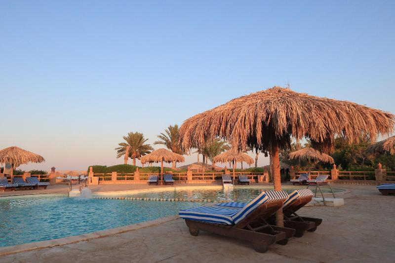 Sharm El Naga Resort And Diving Center - Aktivite