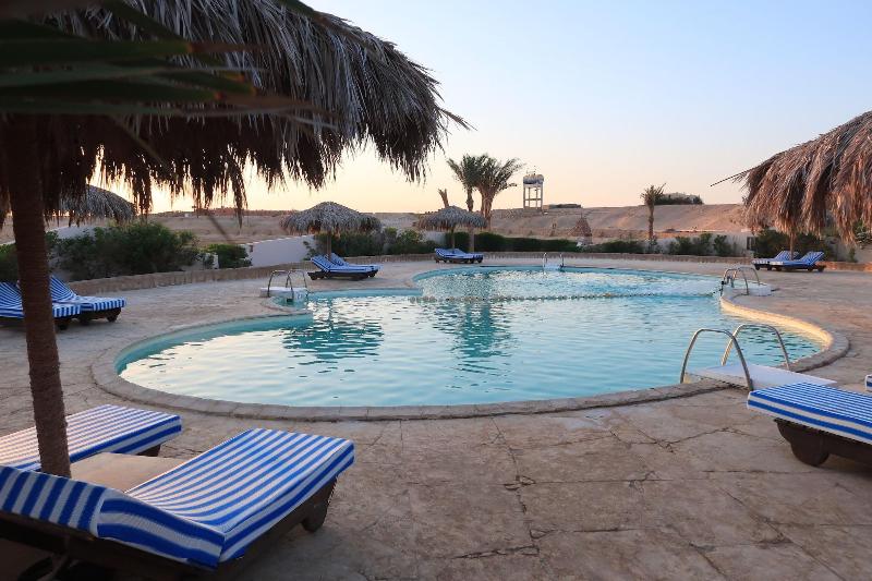 Sharm El Naga Resort And Diving Center - Aktivite