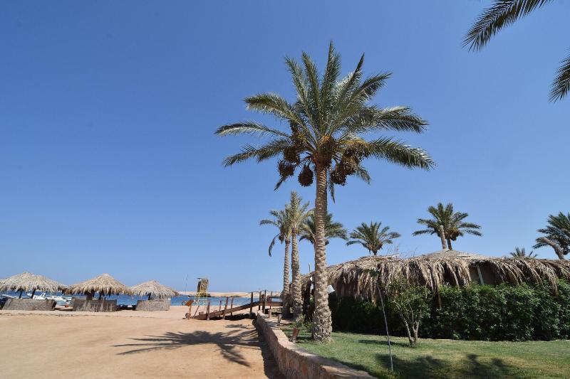 Sharm El Naga Resort And Diving Center - Genel