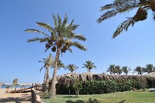 Sharm El Naga Resort And Diving Center fotoÄŸrafÄ±