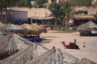 Sharm El Naga Resort And Diving Center fotoÄŸrafÄ±