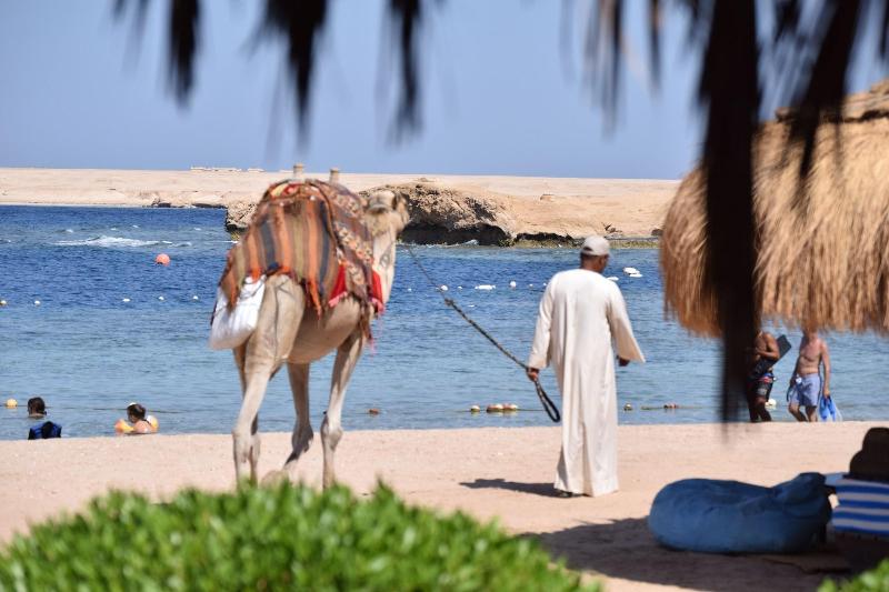 Sharm El Naga Resort And Diving Center - Plaj