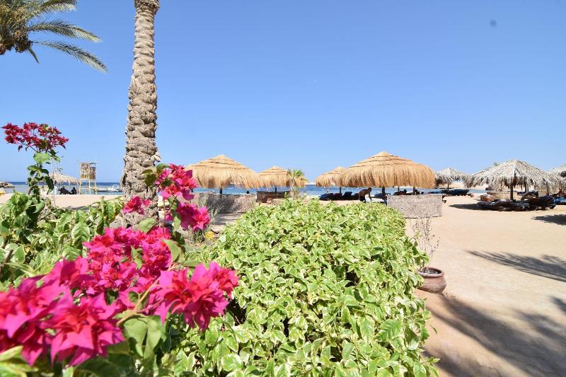 Sharm El Naga Resort And Diving Center - Plaj