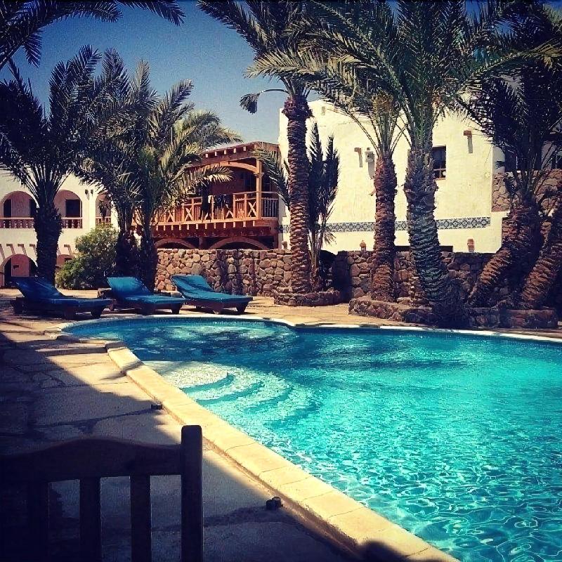 Dahab Divers - Aktivite