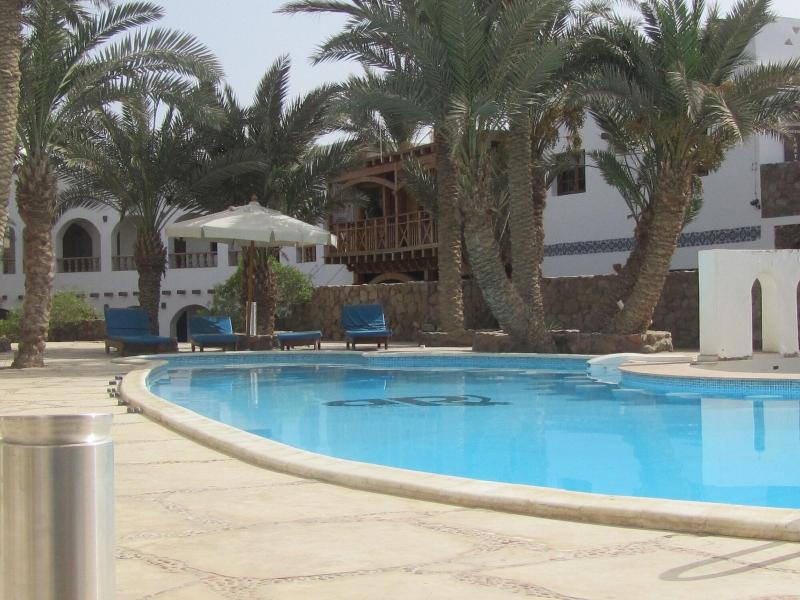 Dahab Divers - Aktivite