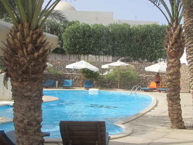 Dahab Divers - Aktivite