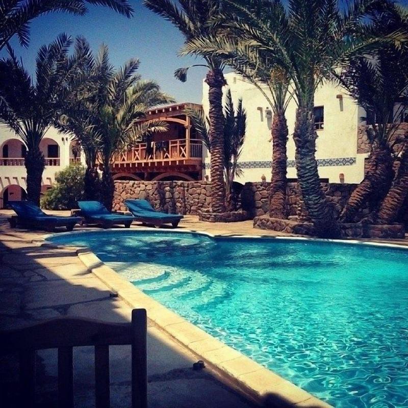 Dahab Divers - Aktivite