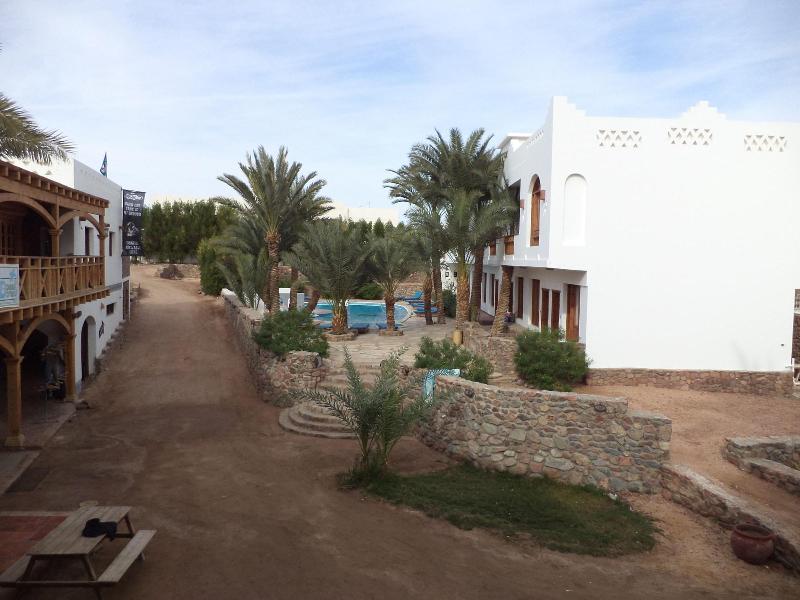 Dahab Divers - Genel