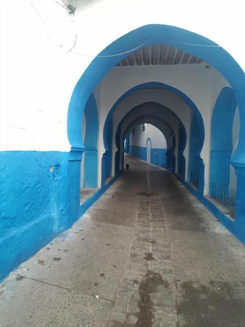 Sultana Larache - Aktivite