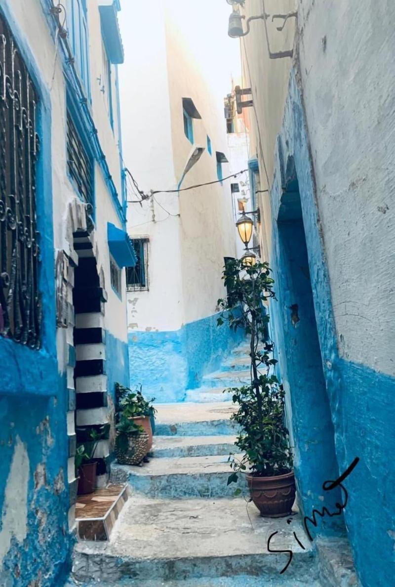 Sultana Larache - Genel
