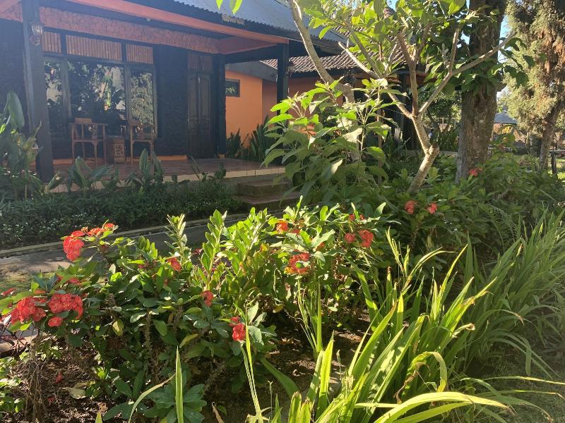 Batur Sunrise Guesthouse - Genel