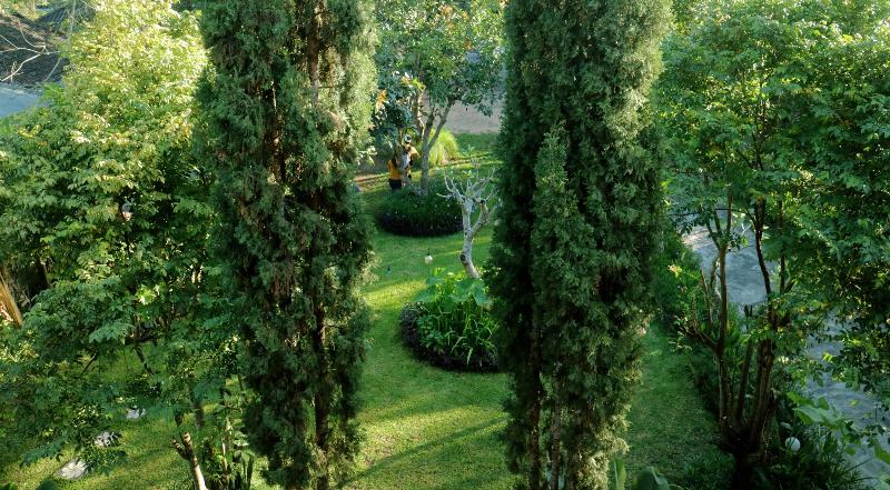 Batur Sunrise Guesthouse - Genel
