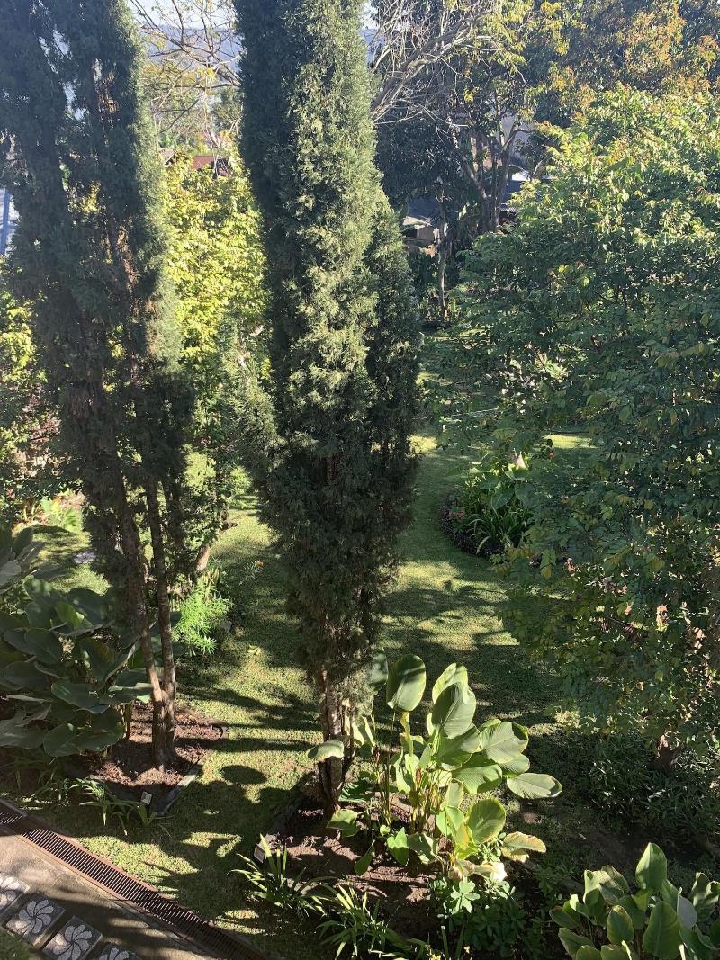 Batur Sunrise Guesthouse - Oda
