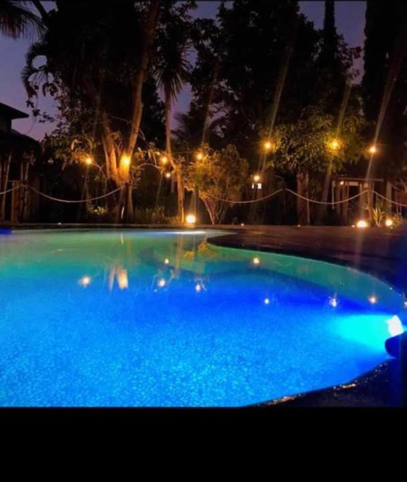 Batur Sunrise Guesthouse - Havuz
