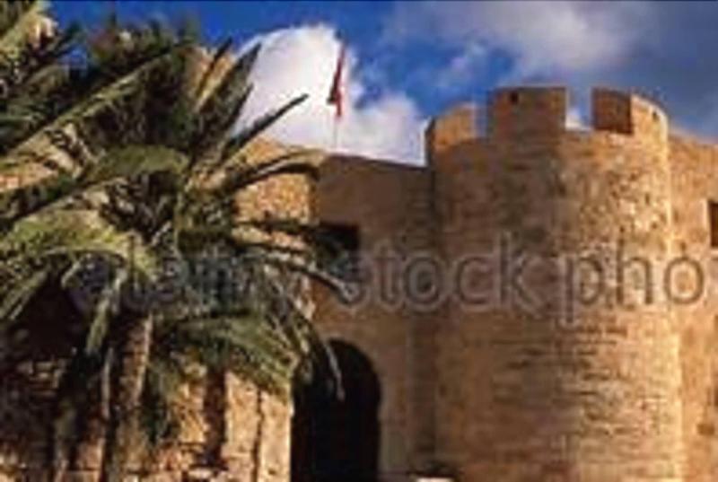 Hôtel Les Palmes d'Or - Genel