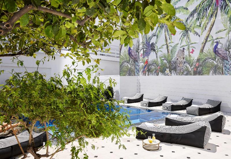 Vasia Boulevard - Adults Only - Genel