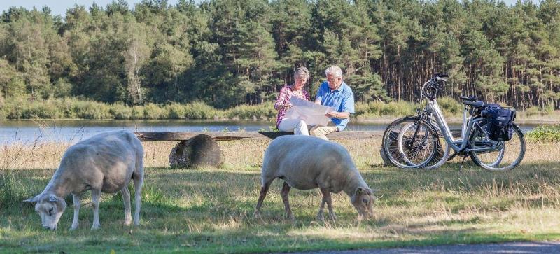 Van Der Valk Hotel Spier - Dwingeloo - Genel